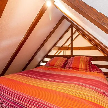 Atypique Avec Mezzanine Apartment