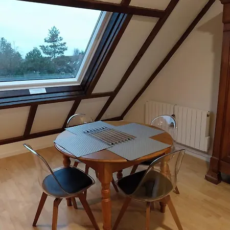 Atypique Avec Mezzanine Apartment *